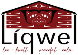 Liqwel logo